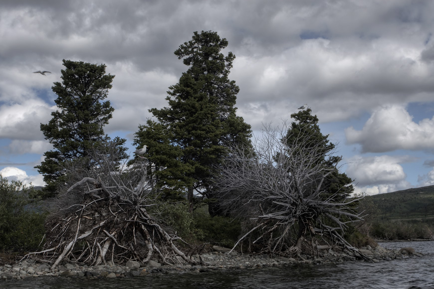 Fish Lake #6